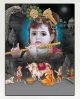 Lord Bala Krishna Canvas Print